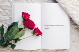 limbajul florilor trandafir